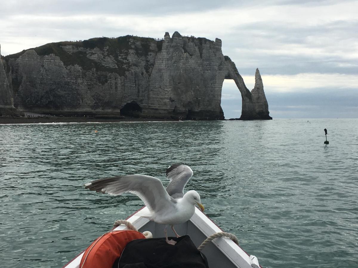Chambre D'Hote Villa Maurice Étretat Esterno foto